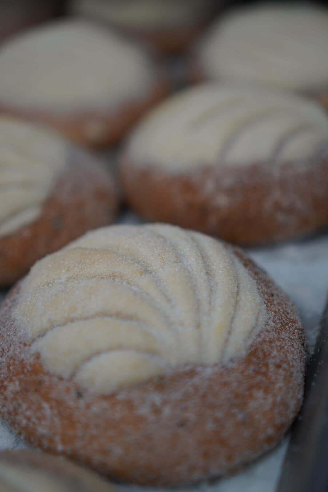 Primer plano de conchas de pan fino con cobertura de azúcar enfriándose en una charola