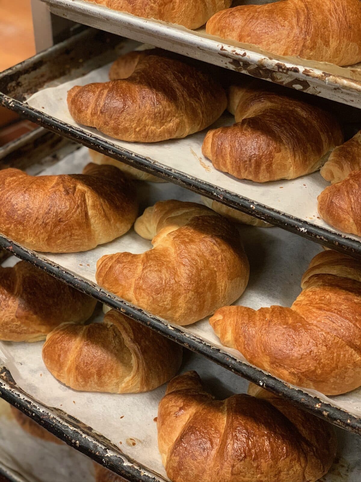 Fresh croissants cooling on stacked bakery trays after the morning bake