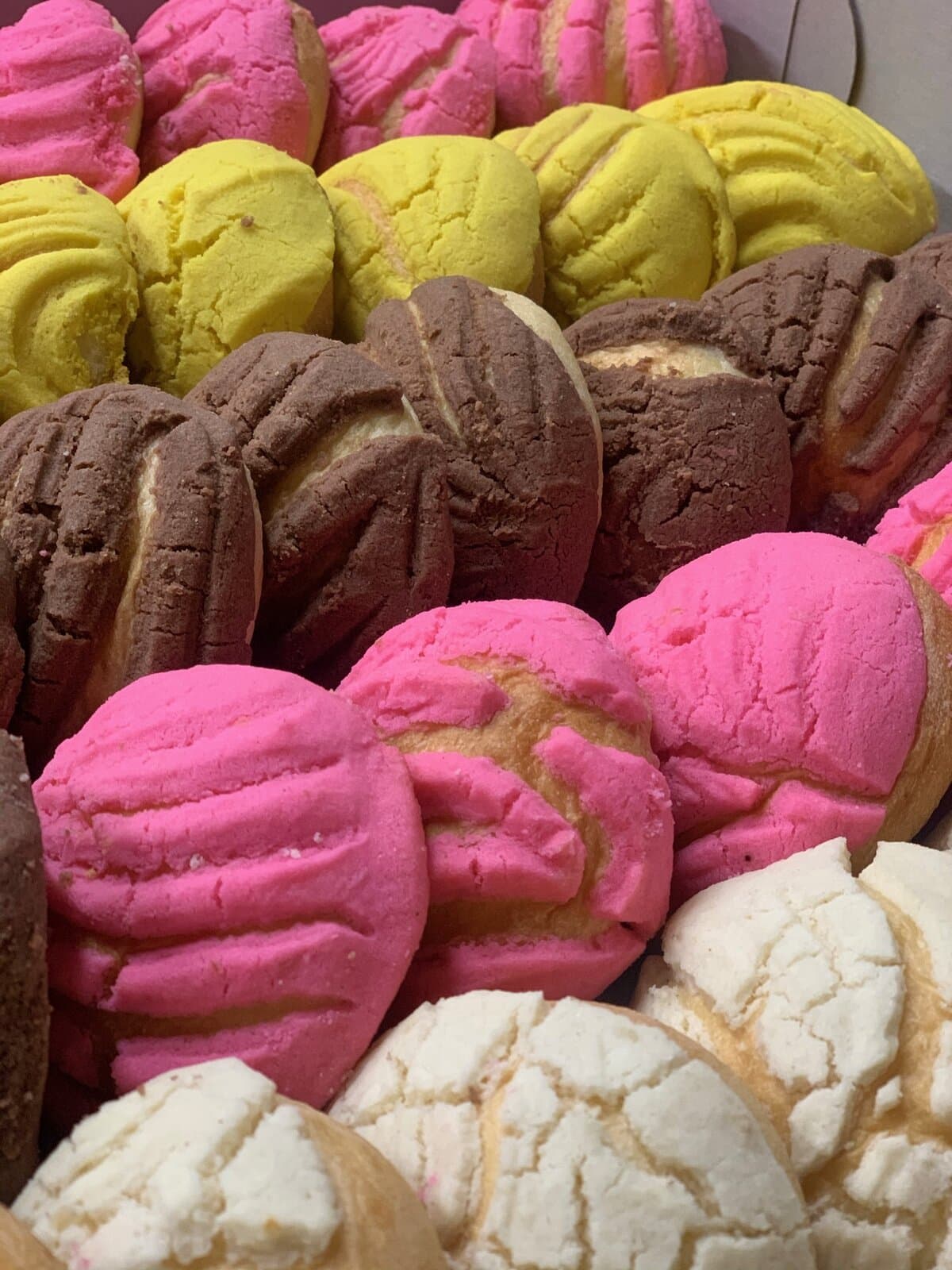 Caja de mini conchas con coberturas rosa, amarilla, de chocolate y blanca en Tlaxcala Bakery